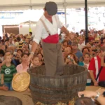 Chestnut fair yunquera